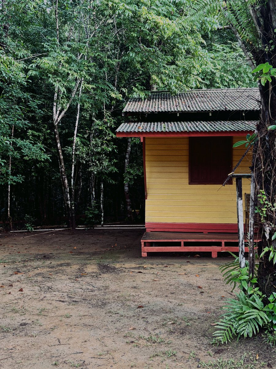 99 (@bardouxjauris) on Twitter photo 