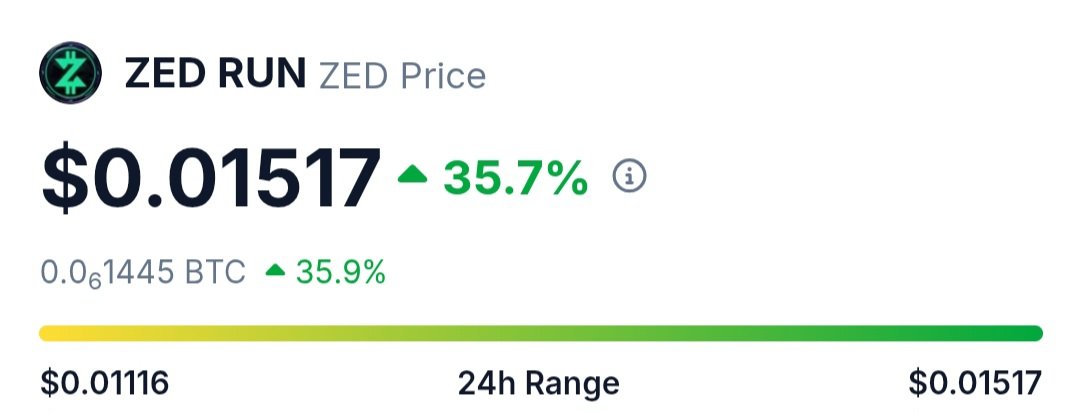 Zed chat vibez on high ↗️