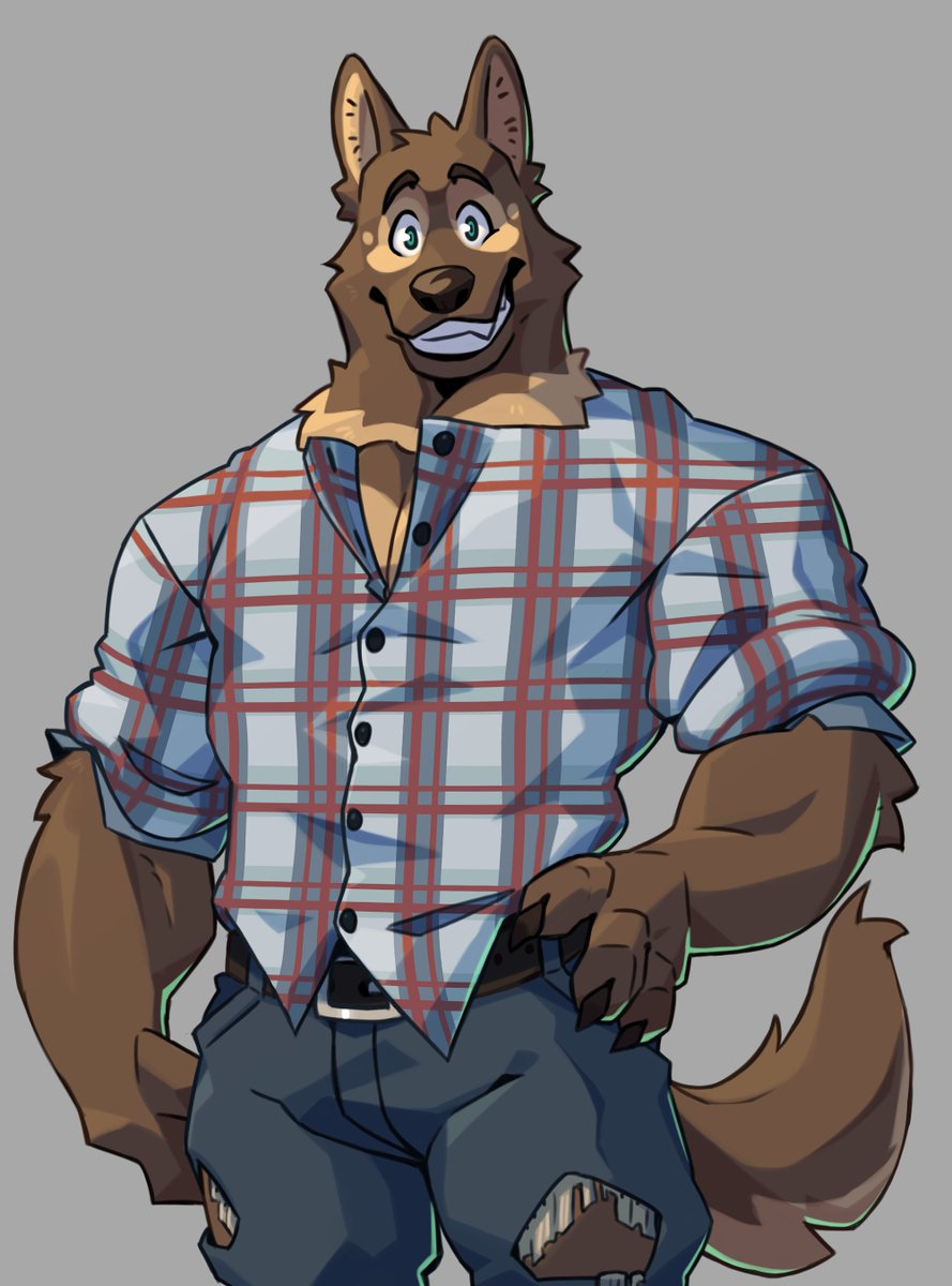 Northern Lights a furry VN tweet media