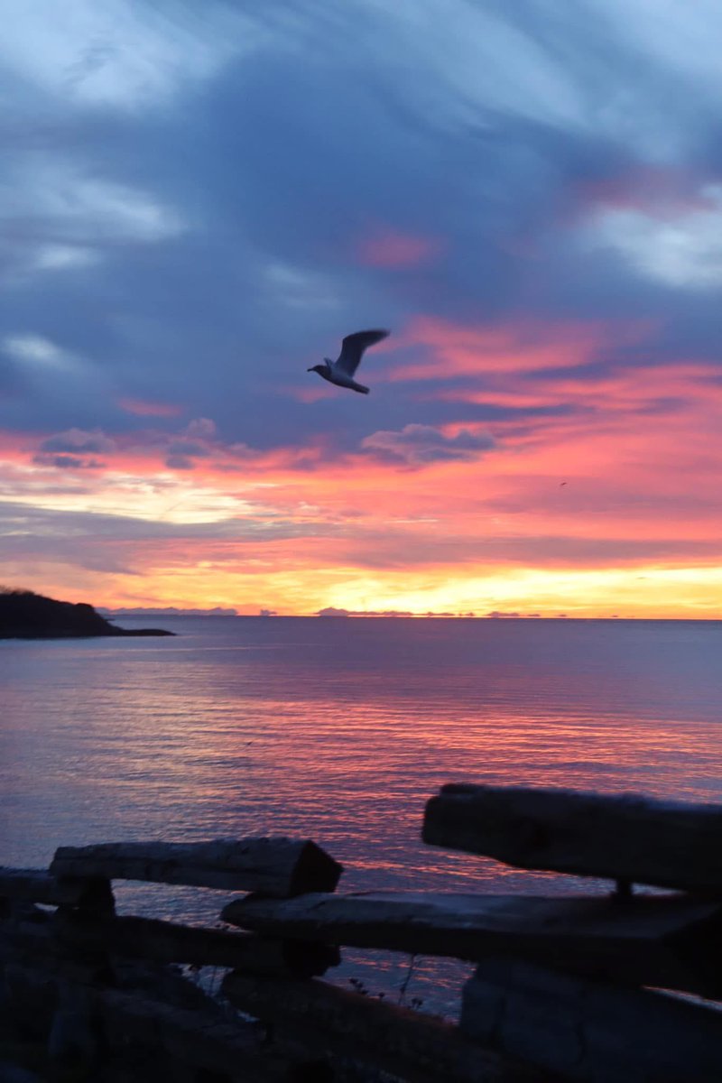 🇨🇦 Jean Paetkau 📕 tweet media