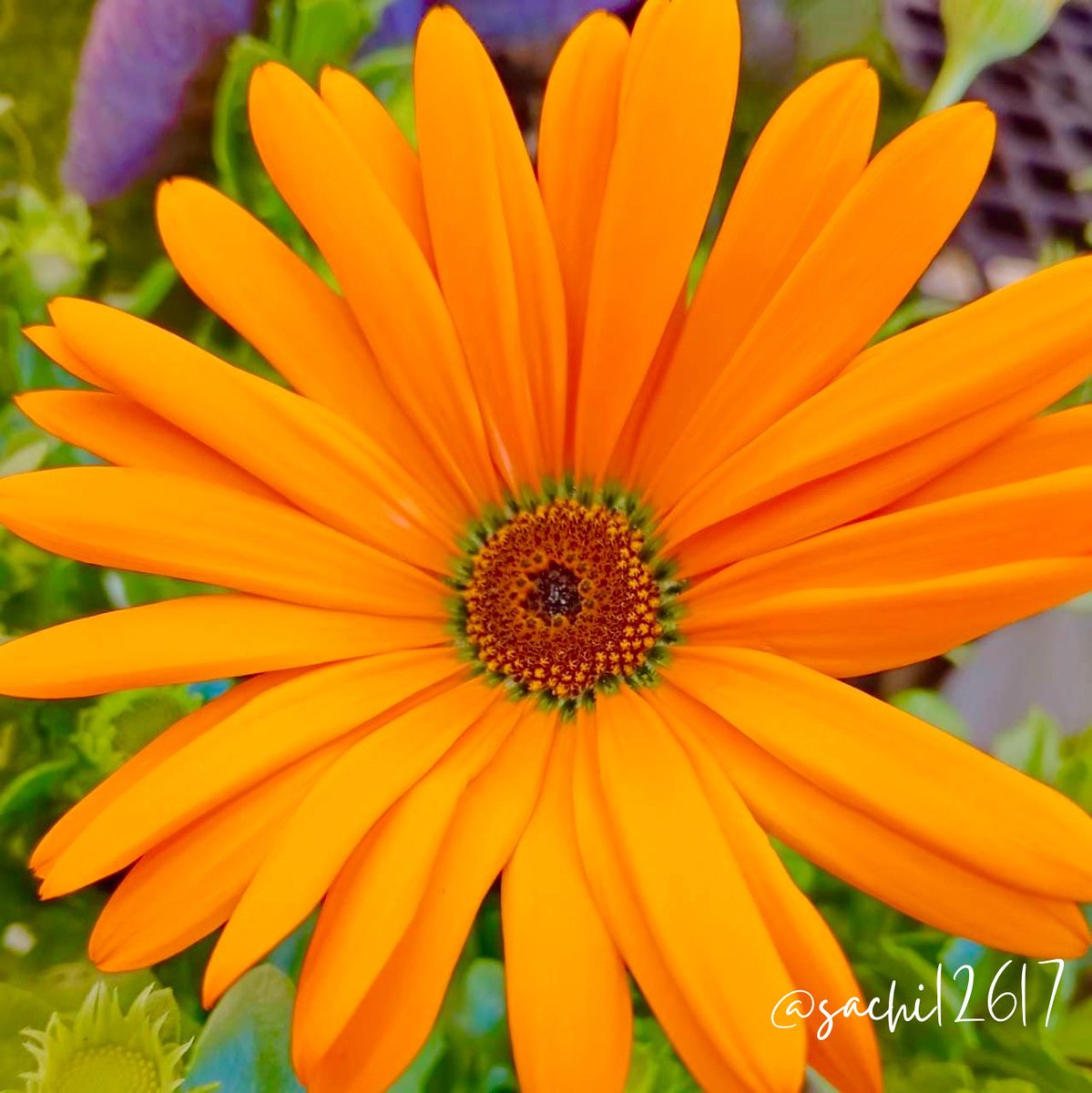 🌈☀️1／26おはさち〜🌺🌈

日曜は
2度寝する日💮

ᕱ━━━━━ᕱ ︵︵
||　 ∧＿∧　||  ꒰ｱﾑ💤 ꒱
||　(っω-`).｡° ︶︶︶
|ﾉ^⌒⌒ ⌒ `￣＼
(　ノ　　⌒ ヽ　＼
＼　　||￣￣￣￣￣||
　＼,ﾉ ||　　　　　||

素敵な1日を︎💐

サブも仲良くしてね☺️
<a href="/sachikichi513/">幸（さち）👒</a>
<a href="/chii12617/">さち(美容)💍</a>

お友達募集中💖