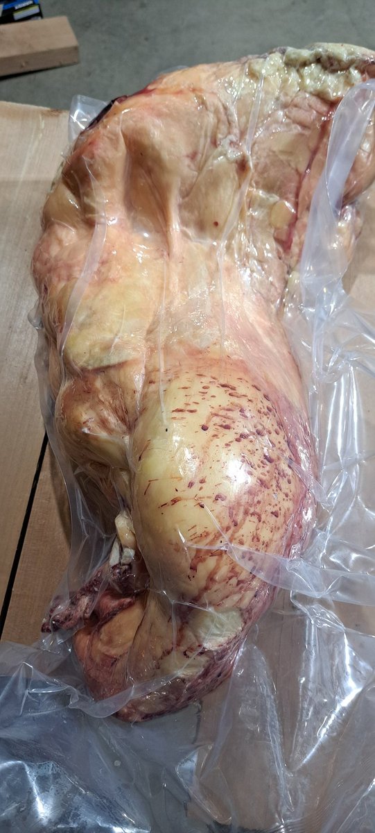 MeatsNeats's tweet image. Scored today at my local craft butcher. Went in to place an order for 1/2 a cow for 2025 and asked if they had any for suet for Tallow. He walked out with this massive hunk and gave it to us for free. Nice grassfed beef suet. He said comeback when you need more. @ChefGruel