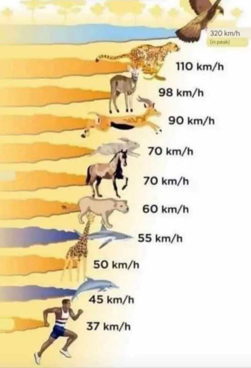 KaraGozBoncugu's tweet photo. İnsan beyninin 2,5 milyon petabayttan fazla bir hafıza kapasitesi vardır,bu da 2.500.500 gigabayta eşittir
#BilgiGüçtür
Yaşlandıkça kas kütlesi,güç ve fonksiyon kaybının sorumlusu olan biyolojik olgu nedir?Buna #Sarkopeni denir
#CumaTersi https://t.co/5esmiksfih