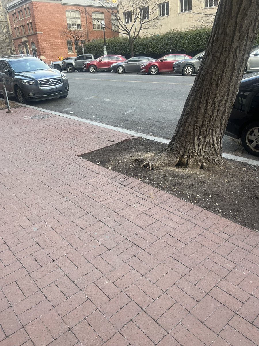 The Let It Ride Podcast tweet media