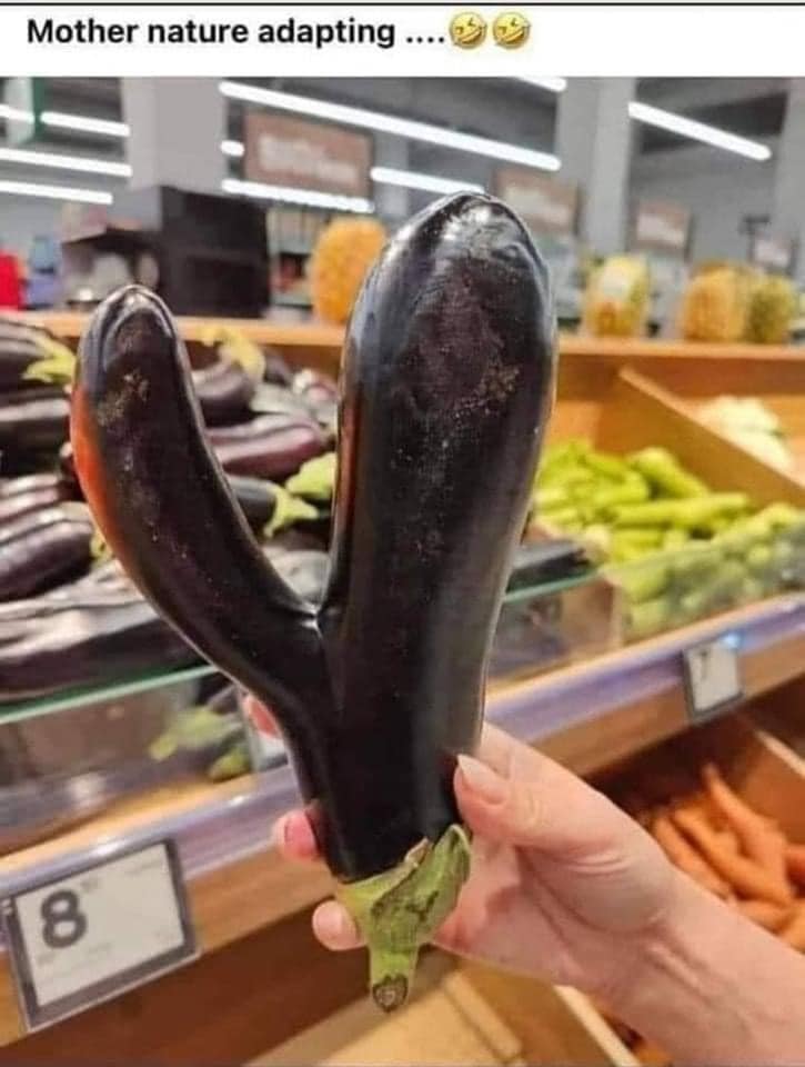 DefensePorn's tweet photo. - This vegetable probably didnโt end up as dinner. Its fate was different...
#funny #meme #SaturdayMotivation #SaturdayKitchen #saturdayfun #DinnerMate #DinnerTime #food #WeekendMood #WeekendFrenzy #LonelyGirl #DatingAdvice #DatingTips #lol #women #Hobby #SaturdayNight https://t.co/E8GDtXpxsk