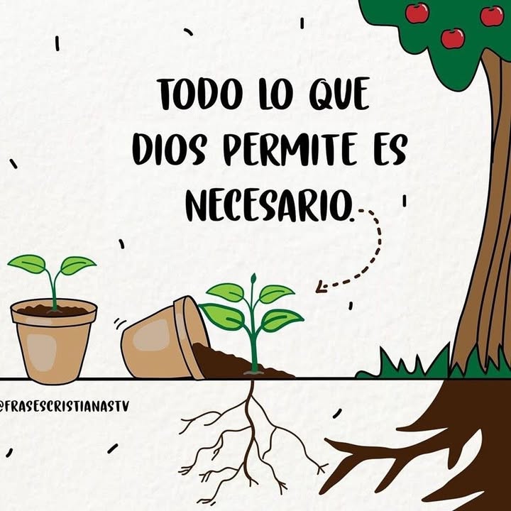 elsiervo__'s tweet photo. https://t.co/LLZOoYbgvI