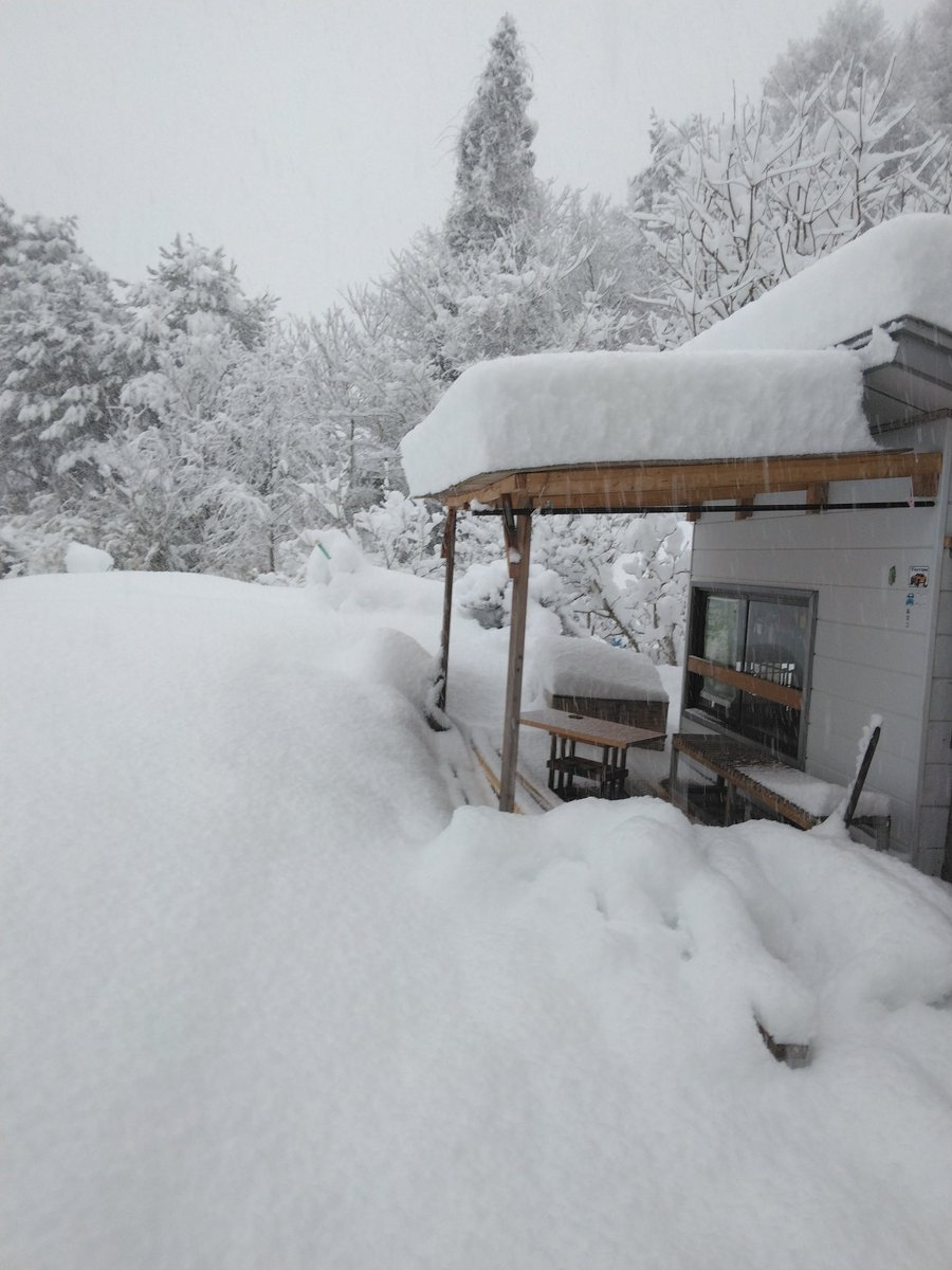 x91eJTOVER7mYVi's tweet photo. 雪やばい 一晩で60㎝以上
#R281
#岩手県北部 https://t.co/7EhdcjCtAT
