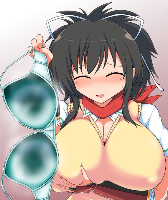 閃乱カグラの飛鳥
デカブラのブラ抜きの染みブラ
いい匂いしそう 