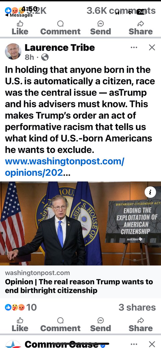 Rosa Lynn tweet media