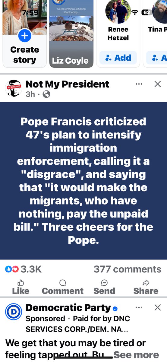 Rosa Lynn tweet media