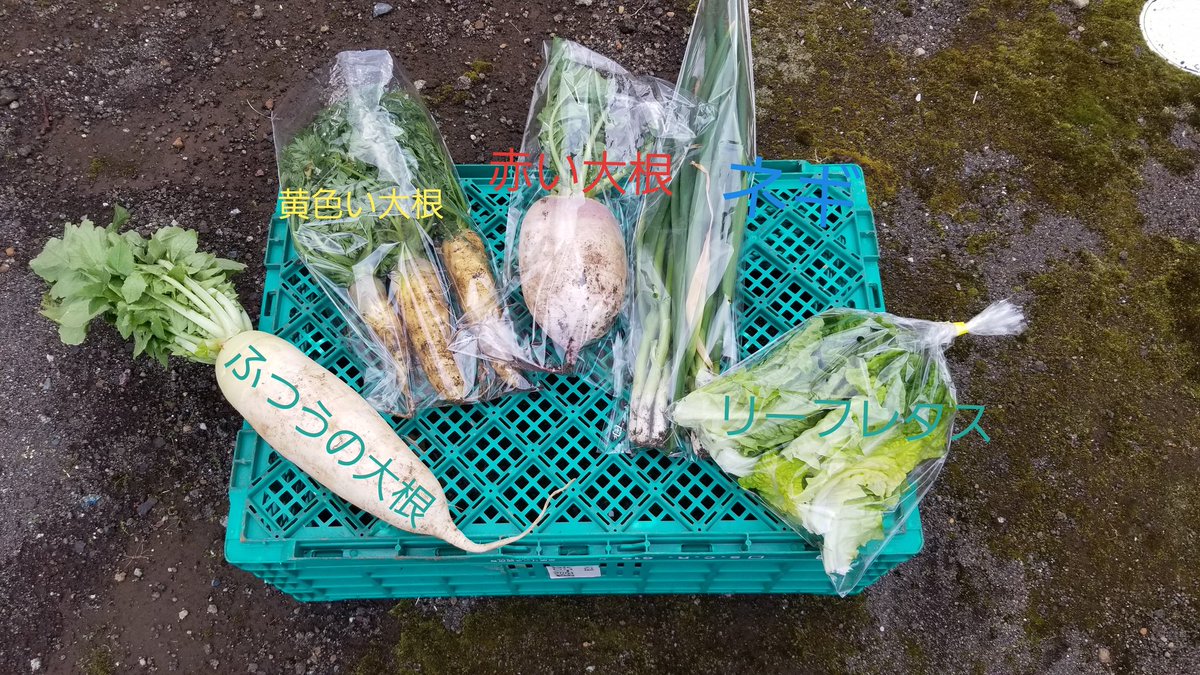無人販売 今から旗揚げします。 数量少ないので売り切れてたら