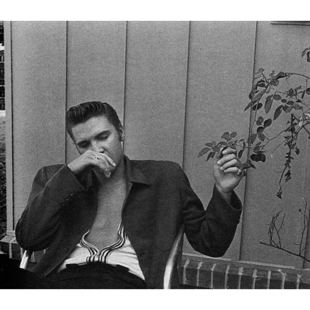 This picture 🫠🫠

#Elvis #ElvisPresley #TCB #ElvisHistory #Graceland