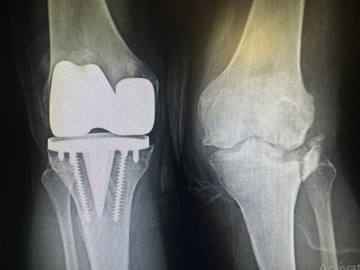 Very General Orthopaedist tweet media