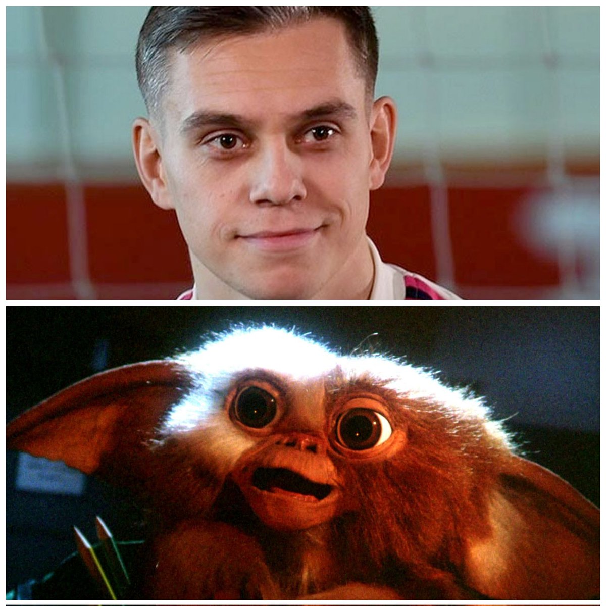 Is it me or does <a href="/LTrossard/">Leandro Trossard</a> look like a Mogwai?? 🤔🤔