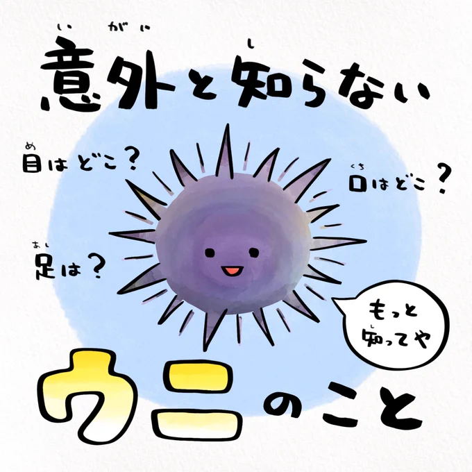 ウニの目ってどこか知ってる? 