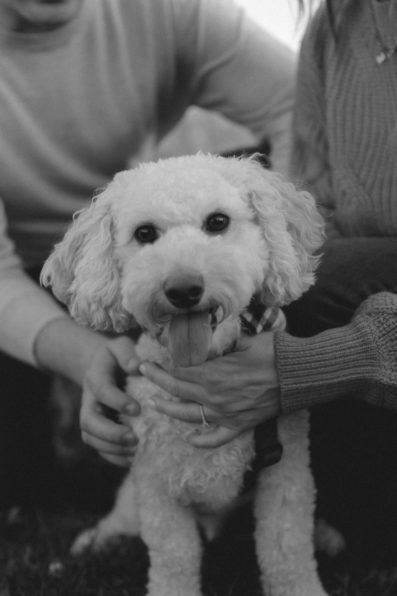 Pure Delight😃 tweet media