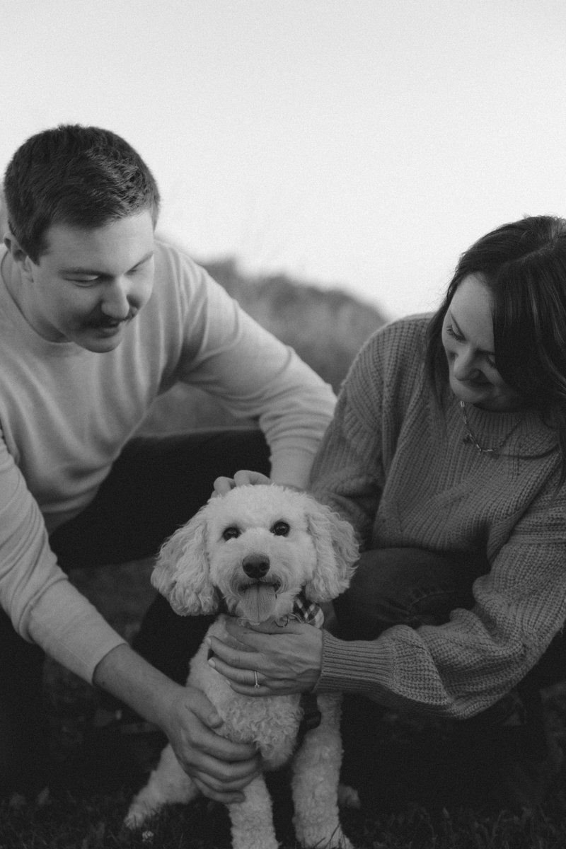 Pure Delight😃 tweet media