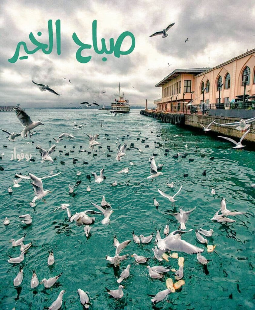 aaaa89aaaa's tweet photo. يسعد صباح كل من سئل عنى في غيابى 💌  ... https://t.co/0kfp6sPETV