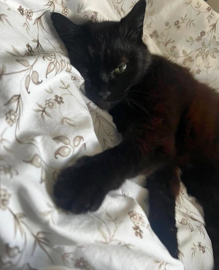 Thaïs Empristikí ❤️‍🔥 tweet media