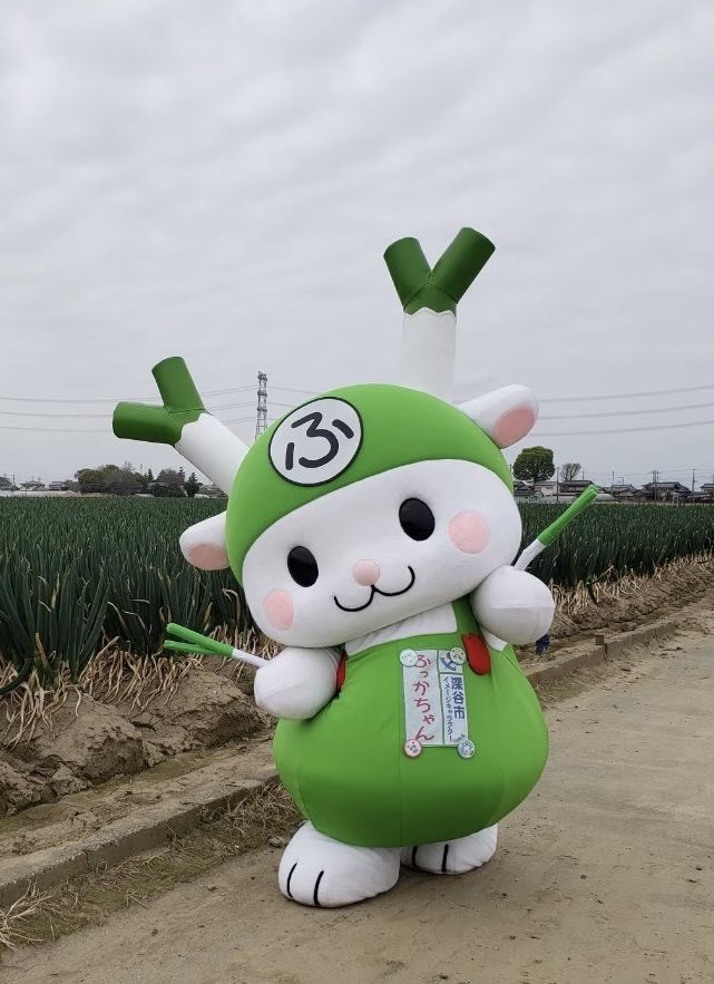 おはよ♪ 今日はまつりだ！まつりだ！まつりだぁぁ〜〜〜Y(○0ω0○)Y