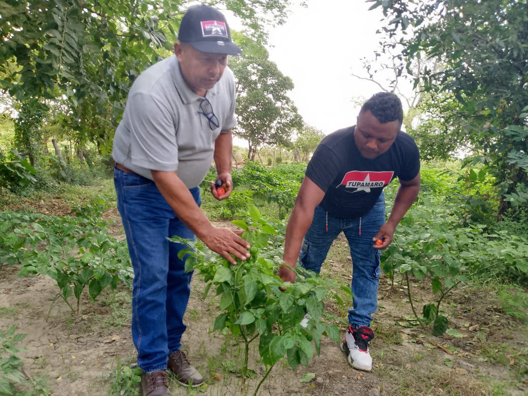 En el estado <a href="/GuaricoMRT2/">X Oficial TUPAMARO GUÁRICO</a> Municipio Esteros de Camaguan nuestros camaradas <a href="/ChristoferRuben/">Rubén Christofer</a> y <a href="/Tonylarez_mrt/">Tony</a> miembros de nuestra Dirección Nacional visitaron el espacio productivo del camarada Merfi Solorzano.

<a href="/NicolasMaduro/">Nicolás Maduro</a>