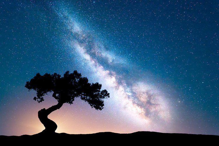 Shaman_Lockley's tweet photo. I'm starting a new webinar series tomorrow on 'The language of Dreams' 🌈. 
➡️What is your unique dream language or ‘Dream Print’”? 
And most important, ➡️ “how do you integrate your dream language into your everyday life” ?  Register Here: 🗝️https://t.co/6aCyhArrAO . https://t.co/FWNeU74NrD