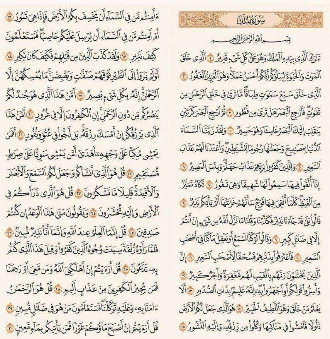 الدحمي tweet media