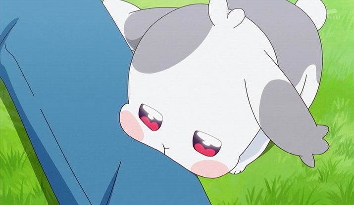 こむぎちゃんやユキちゃんに喋れる力が戻る中、「大福ちゃんは！？ねえ