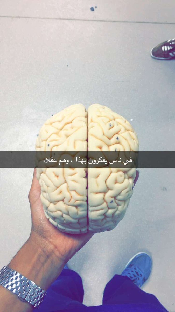 ret500's tweet photo. 4 أشكال للتفكير بإختصار ... https://t.co/CCkZnS08X1