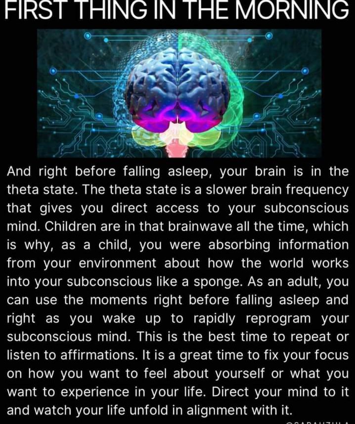 remnant_seven's tweet image. 🧠