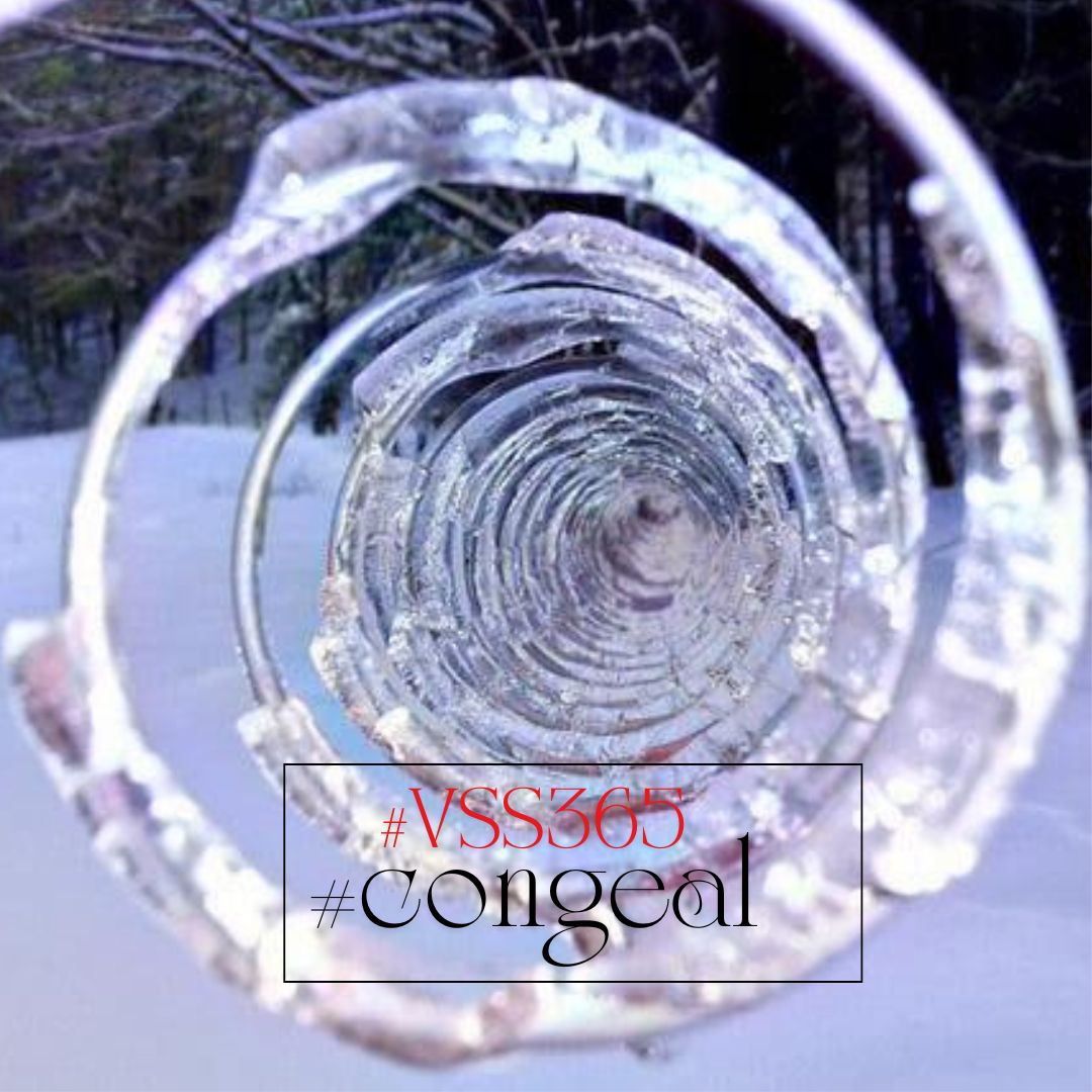 To change from a liquid to a solid state by cold, to freeze, coagulate, curdle, become gelatinous or immobile.

The Monday #vss365 #Prompt is #congeal

Art by Andy Goldsworthy; British sculptor, photographer, and environmentalist