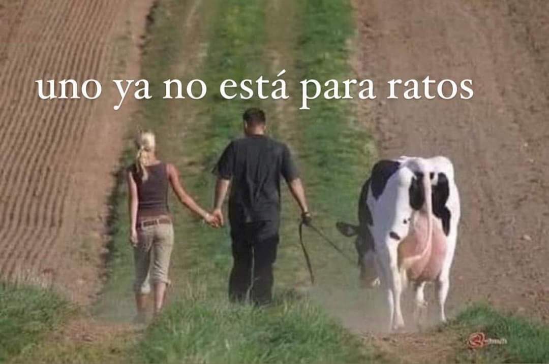 En Júpiter (@en_jupiter_) on Twitter photo 