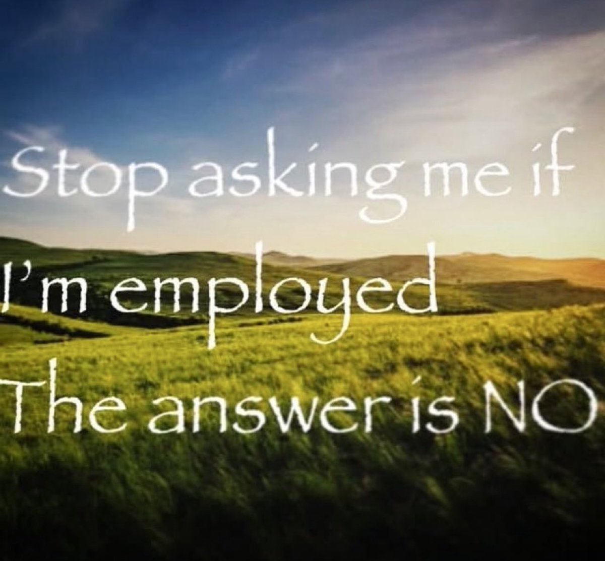 Bad Advice Dog (@badadvicedog) on Twitter photo 