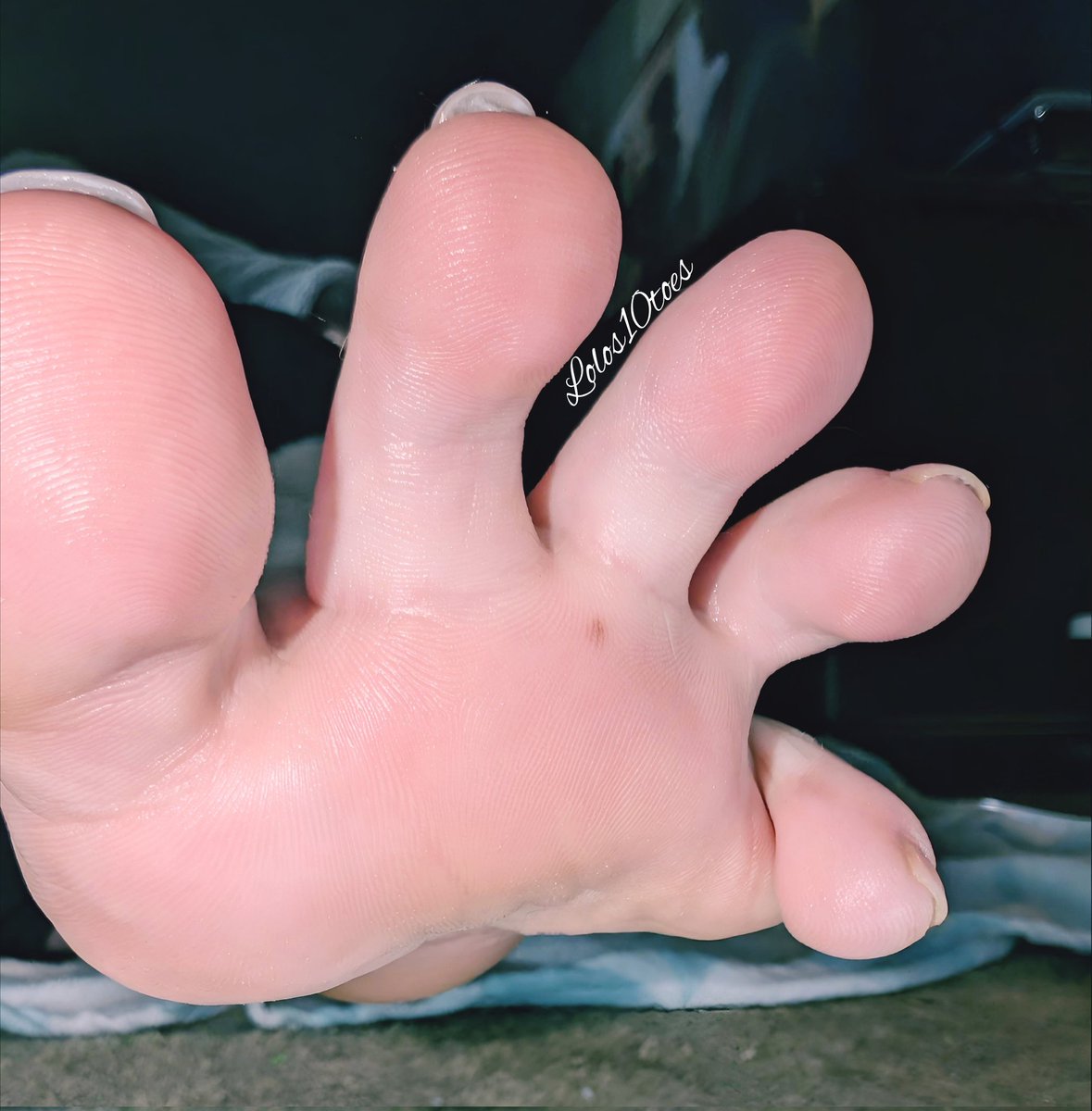 lolos10toes's tweet photo. Love the close ups https://t.co/bCvmWaNN5c