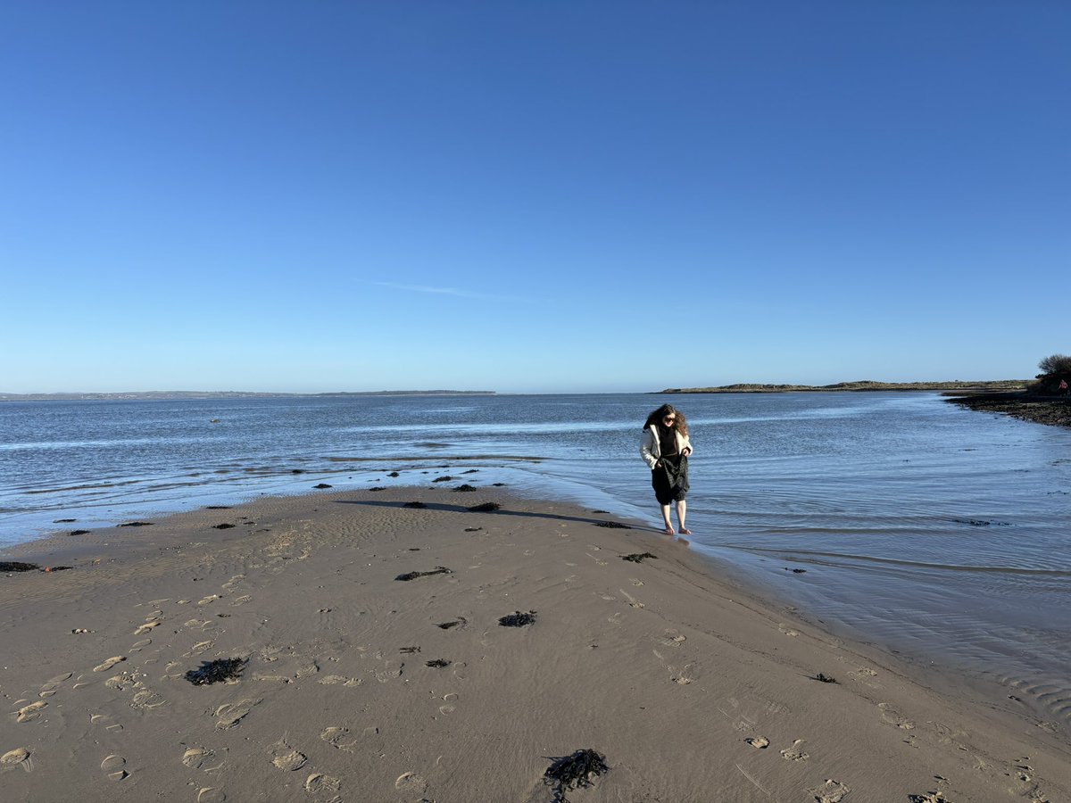 @playthinkbrink tweet media