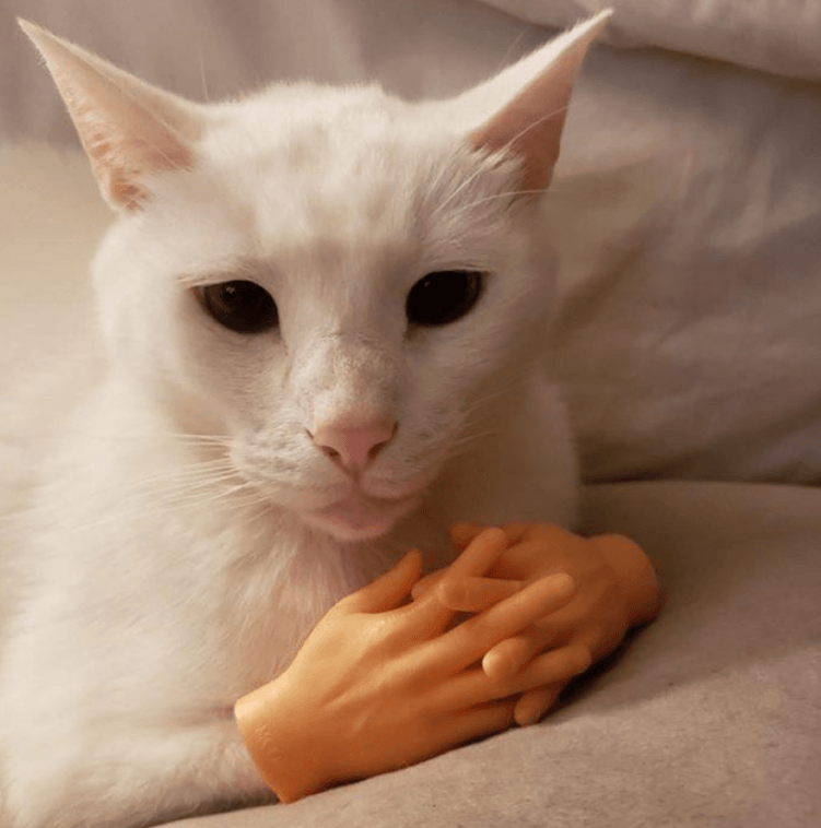 Andrei Apanasik (🐱, 🔪,геймдев и игры) tweet media