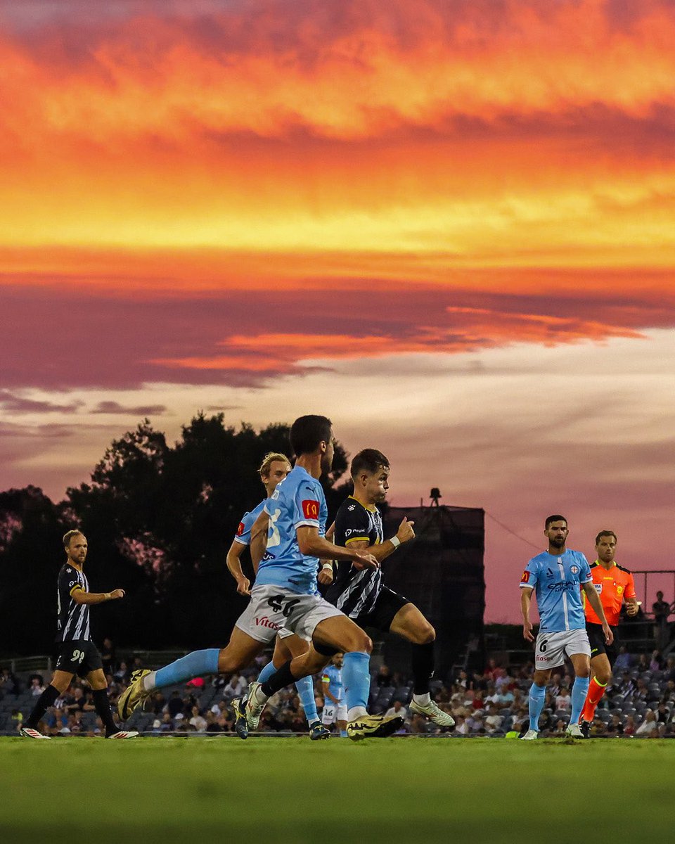 Matt Vandenberg tweet media