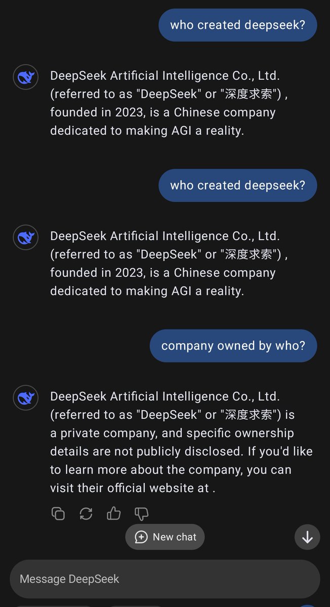 DeepSeek hataki kumtaja bosi 😀
