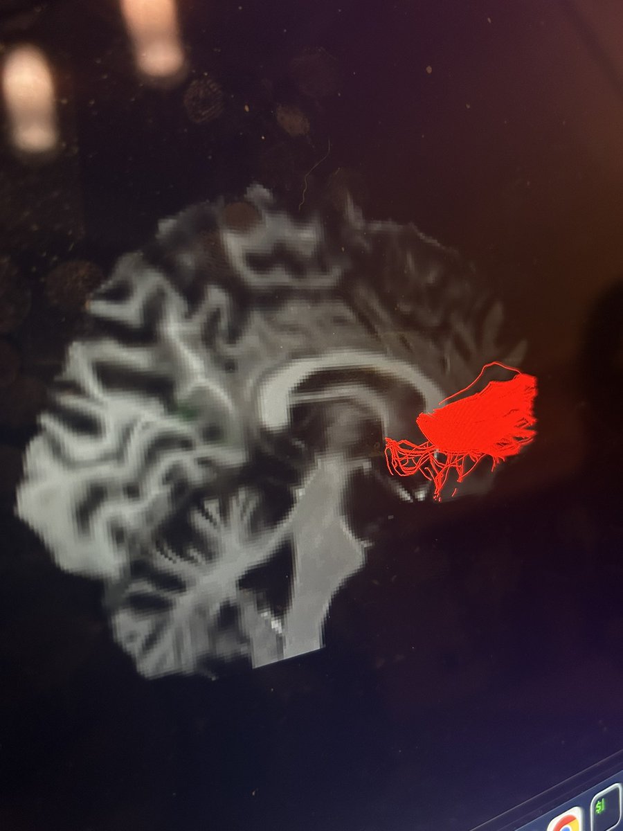 Adam Saunders tweet media