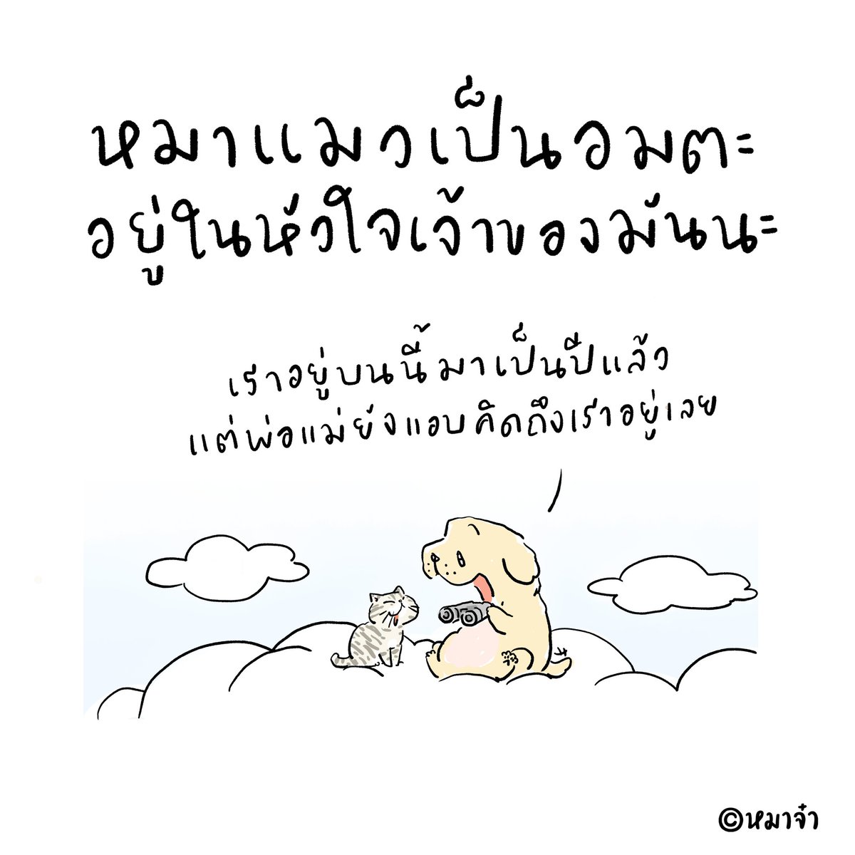 หมาจ๋า tweet media