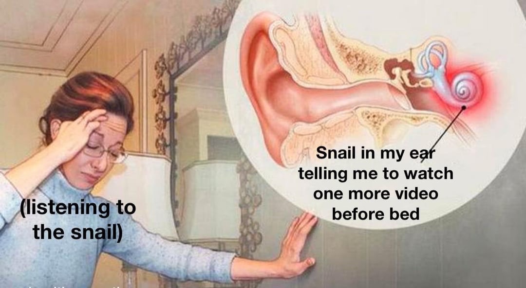 nocontextmemes's tweet photo. https://t.co/sxpxMlKUf4
