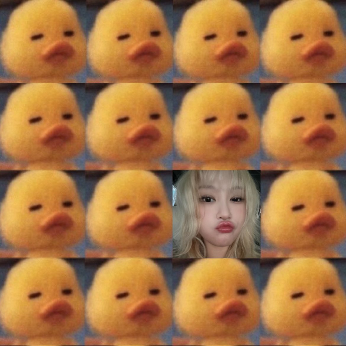 duck siyeon