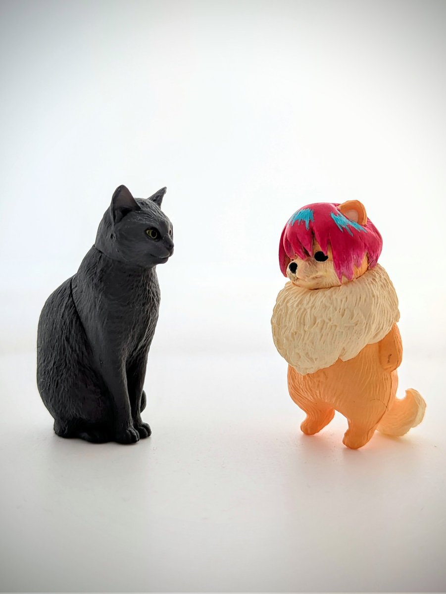 mirinia01's tweet image. SD アマテ・ユズリハ(マチュ)完成しました🐾
ポメラニアンって可愛いけど狂犬気質があるイメージがありますw
#GQuuuuuuX