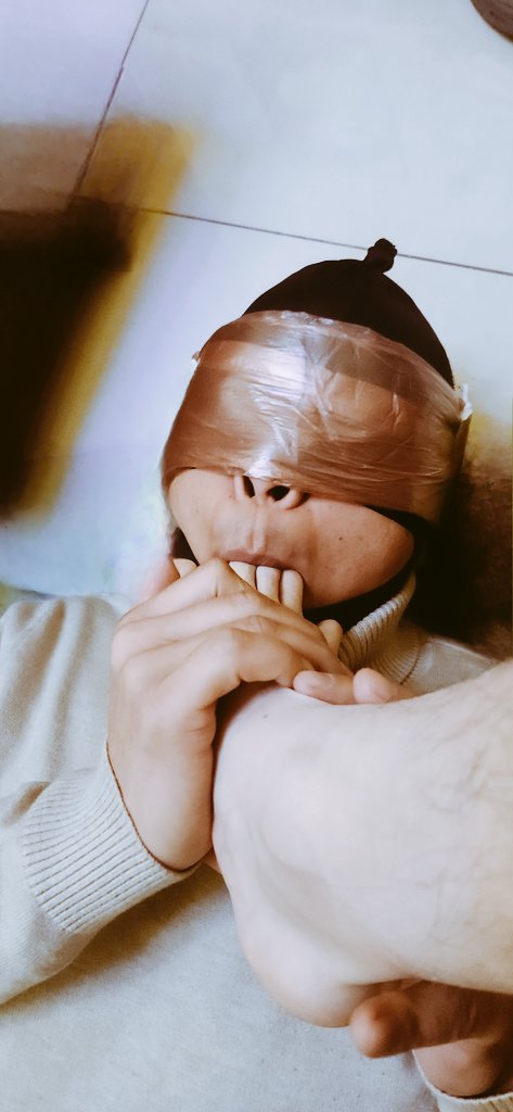 domofdogs tweet media