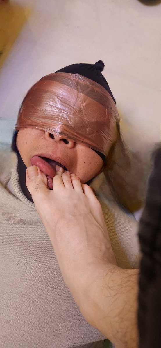 domofdogs tweet media