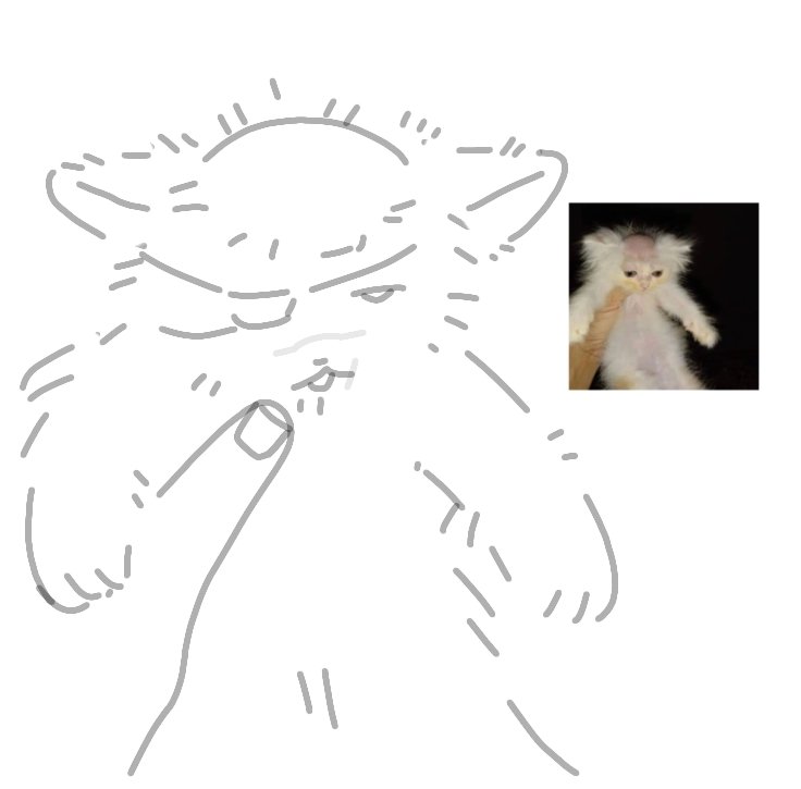 lsun30011's tweet image. 