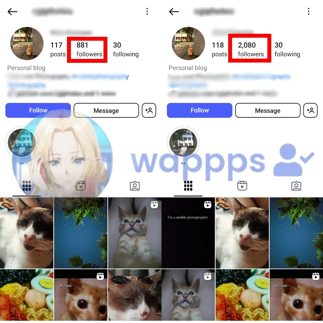 wappps_ tweet picture
