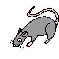 I FORGOT TO POST THE SILLIES, I'M STILL TRYING TO FIND A WAY TO GET AN ISOPOD(even if it's a robot)

HERES THE SILLIES
- scorpion
- Hercules beetle
- rat(it's a bug)