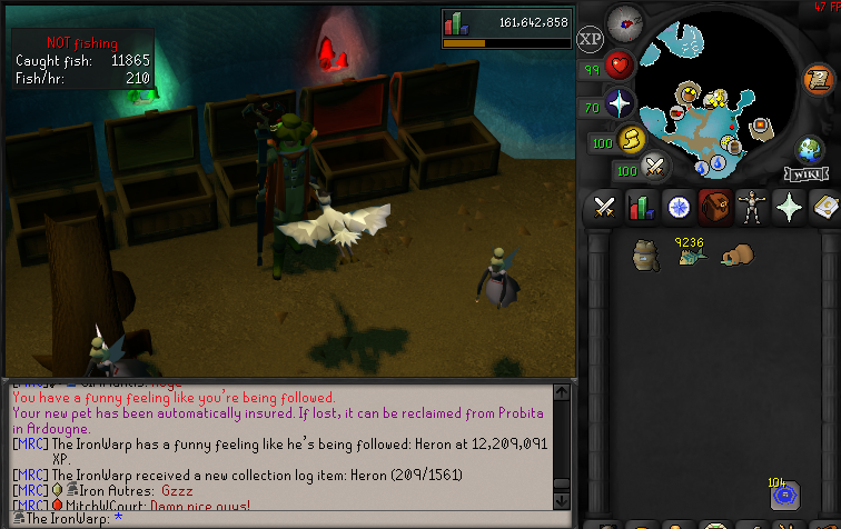WarpRs's tweet photo. Fishing Pet on the Ironman

99 Coming soon 

#Runescape #OSRS https://t.co/LIyjliHenT