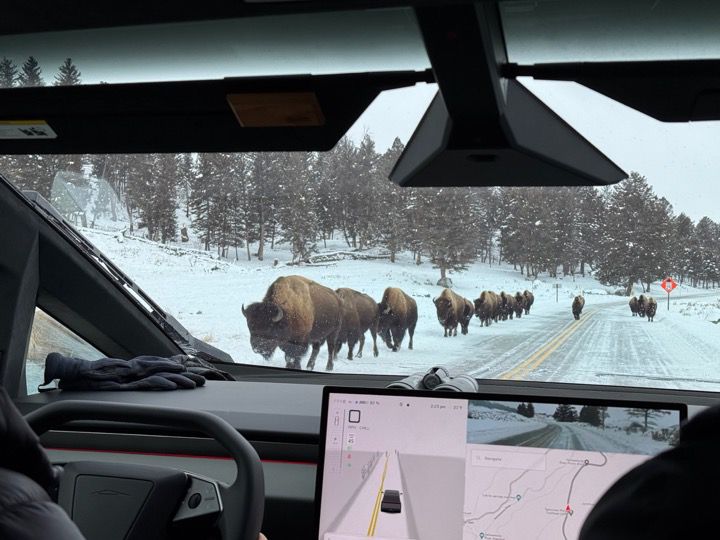 Mario Nawfal tweet media